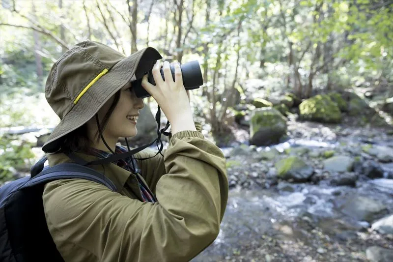 自然観察をする時のポイント